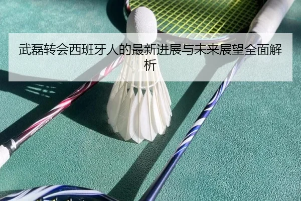 武磊转会西班牙人的最新进展与未来展望全面解析